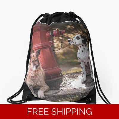 Le Studio Drawstring Bag Rush Signals Statue 2 Dogs